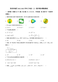 山西省阳泉市城区2022-2023学年八年级上学期期末模拟测试数学试卷(含解析)