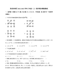 山西省阳泉市郊区2022-2023学年八年级上学期期末模拟测试数学试卷(含解析)