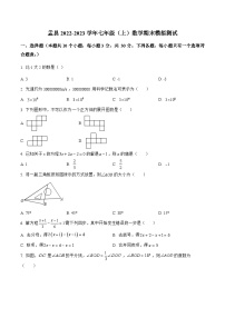 山西省阳泉市盂县2022-2023学年七年级上学期期末模拟测试数学试卷(含解析)