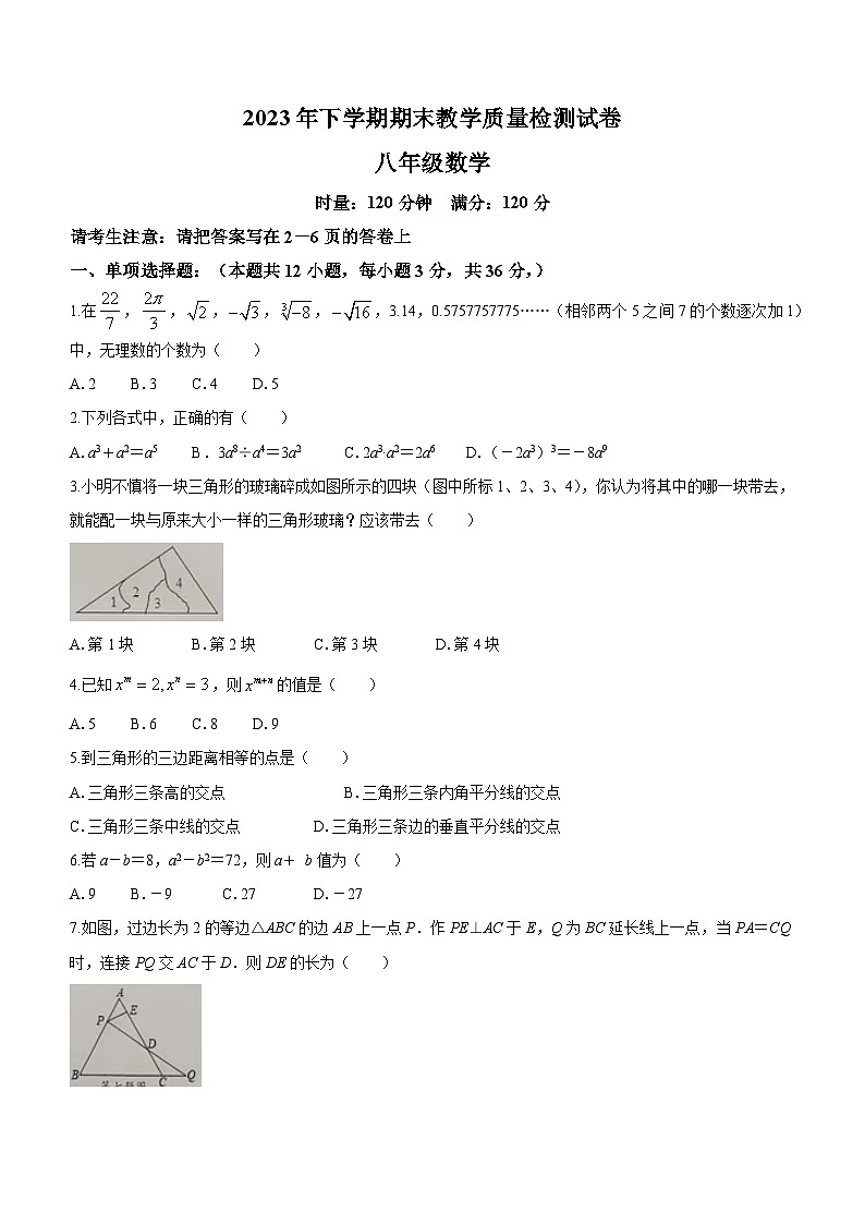 湖南省衡阳市衡南县2023-2024学年八年级上学期期末数学试题第1页