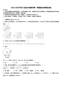 2023-2024学年广东省九年级数学第一学期期末统考模拟试题