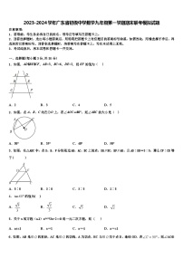 2023-2024学年广东省初级中学数学九年级第一学期期末联考模拟试题