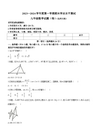 陕西省咸阳市永寿县重点中学2023-2024学年九年级上学期期末数学试题(无答案)