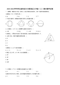 2023-2024学年河北省张家口市桥西区九年级（上）期末数学试卷（含解析）