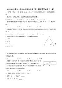 2023-2024学年上海市金山区九年级（上）期末数学试卷（一模）（含解析）