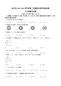 广东省肇庆市封开县2023-2024学年九年级上学期期末数学试题（含答案）