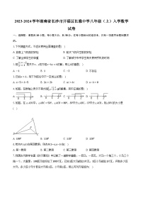 2023-2024学年湖南省长沙市开福区长雅中学八年级（上）入学数学试卷（含解析）