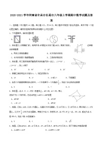 2020-2021学年河南省许昌市长葛市八年级上学期期中数学试题及答案