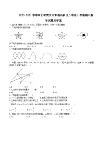 2020-2021学年湖北省武汉市东湖高新区八年级上学期期中数学试题及答案