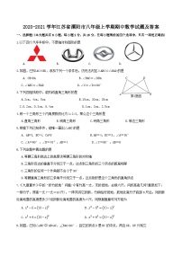 2020-2021学年江苏省溧阳市八年级上学期期中数学试题及答案