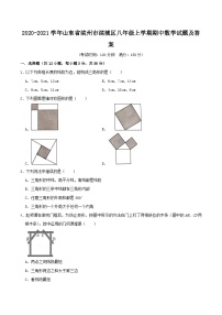 2020-2021学年山东省滨州市滨城区八年级上学期期中数学试题及答案