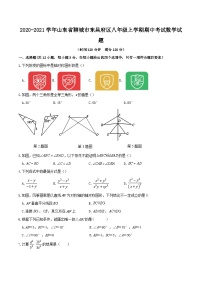 2020-2021学年山东省聊城市东昌府区八年级上学期期中考试数学试题