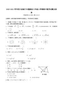 2020-2021学年四川省遂宁市蓬溪县八年级上学期期中数学试题及答案