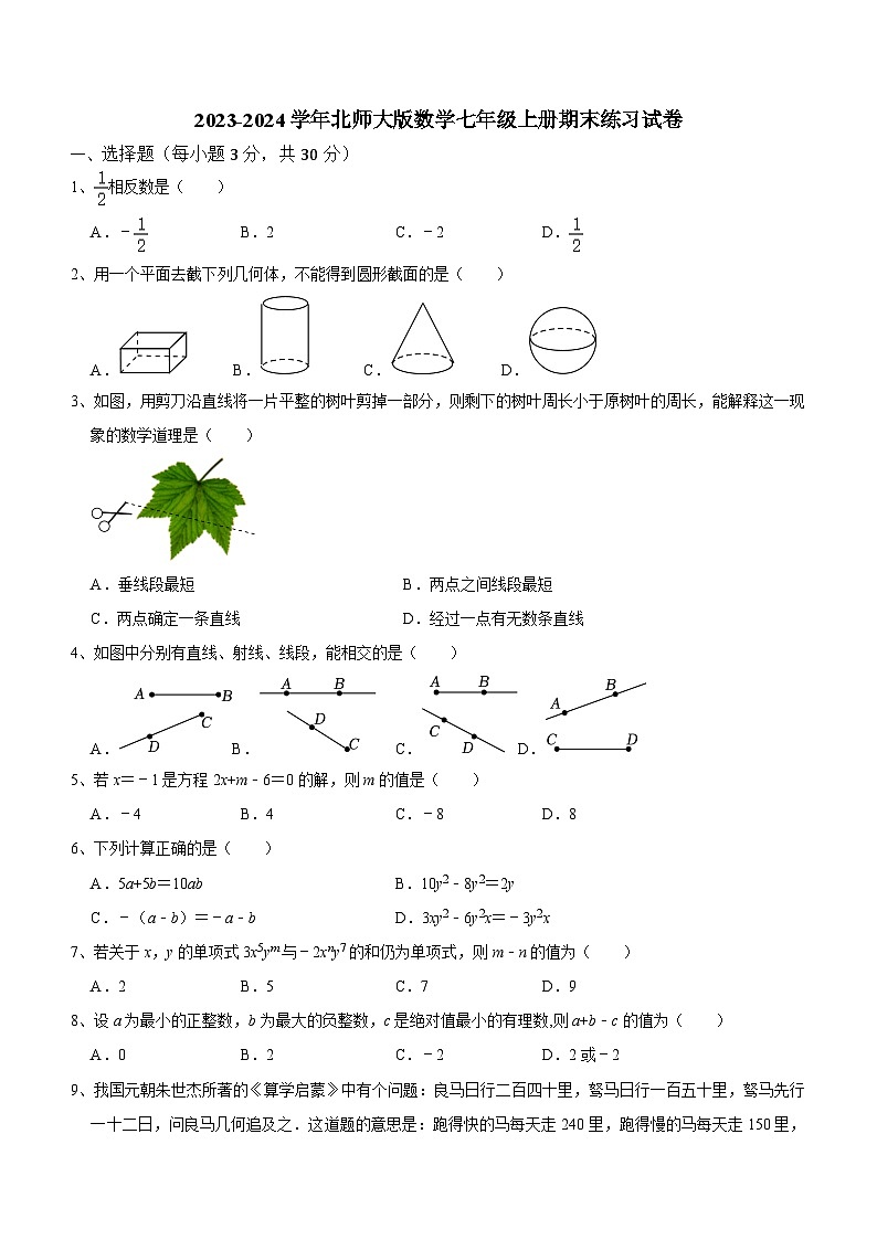 北师大版2023-2024学年数学七年级上册期末练习试卷(含答案)01