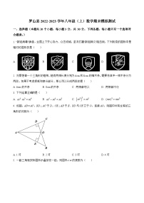 河南省信阳市罗山县2022-2023学年八年级上学期期末模拟测试数学试卷(含解析)