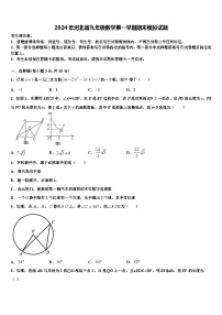 2024年河北省九年级数学第一学期期末模拟试题