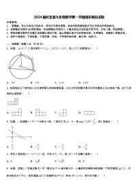 2024届河北省九年级数学第一学期期末模拟试题