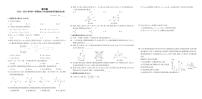 河南省洛阳市栾川县2022—2023学年第一学期期末八年级数学教学质量检测试卷（华师版）含答案