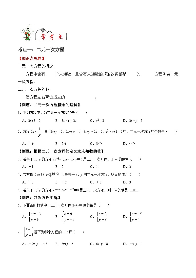人教版七年级数学下学期期末复习常考点知识巩固+例题练习+期末模拟测 专题04 二元一次方程（原卷版+解析）第2页