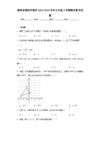 湖南省衡阳市城区2023-2024学年九年级上学期期末数学试题(含答案)