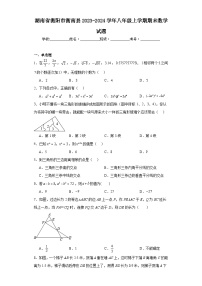 湖南省衡阳市衡南县2023-2024学年八年级上学期期末数学试题(含答案)