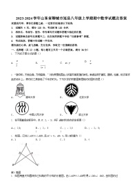 2023-2024学年山东省聊城市冠县八年级上学期期中数学试题及答案