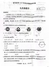 河南省驻马店市西平县2023-2024学年九年级上学期1月期末数学试题