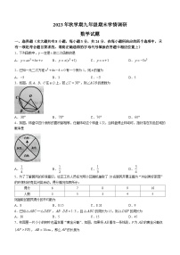 江苏省盐城市阜宁县2023-2024学年九年级上学期期末数学试题