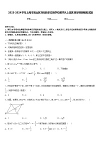 2023-2024学年上海市宝山区刘行新华实验学校数学九上期末质量检测模拟试题含答案