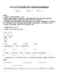 2023-2024学年上海市第八中学九上数学期末综合测试模拟试题含答案