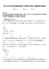 2023-2024学年上海市浦东新区南片十六校数学九年级第一学期期末复习检测试题含答案