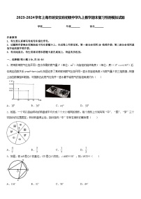 2023-2024学年上海市延安实验初级中学九上数学期末复习检测模拟试题含答案