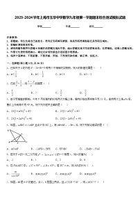 2023-2024学年上海市玉华中学数学九年级第一学期期末综合测试模拟试题含答案