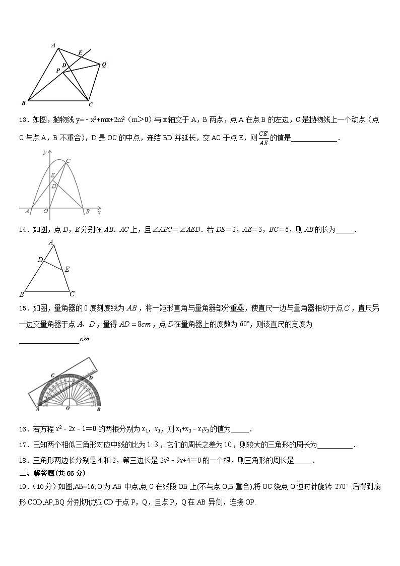 2023-2024学年云南省曲靖市实验中学数学九年级第一学期期末统考试题含答案第3页