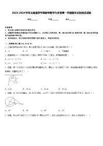 2023-2024学年云南省罗平县联考数学九年级第一学期期末达标测试试题含答案