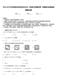 2023-2024学年内蒙古自治区呼伦贝尔市、兴安盟九年级数学第一学期期末质量跟踪监视模拟试题含答案