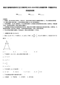 黑龙江省鸡西市虎林市八五八农场学校2023-2024学年九年级数学第一学期期末学业质量监测试题含答案