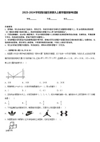 2023-2024学年四川省乐至县九上数学期末联考试题含答案