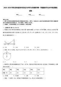 2023-2024学年吉林省吉林市吉化九中学九年级数学第一学期期末学业水平测试模拟试题含答案