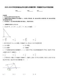 2023-2024学年吉林省白山市长白县九年级数学第一学期期末学业水平测试试题含答案