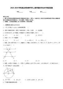 2023-2024学年唐山市林西中学九上数学期末学业水平测试试题含答案