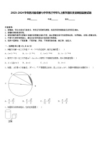 2023-2024学年四川省成都七中学育才中学九上数学期末质量跟踪监视试题含答案