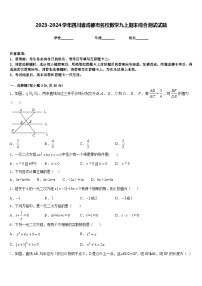 2023-2024学年四川省成都市名校数学九上期末综合测试试题含答案