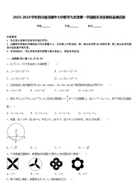 2023-2024学年四川省成都市七中数学九年级第一学期期末质量跟踪监视试题含答案