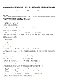 2023-2024学年四川省成都市七中学育才学校数学九年级第一学期期末复习检测试题含答案