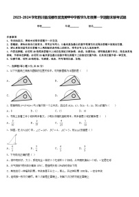 2023-2024学年四川省成都市双流黄甲中学数学九年级第一学期期末联考试题含答案