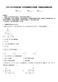 2023-2024学年四川省广元市苍溪县数学九年级第一学期期末监测模拟试题含答案