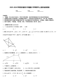 2023-2024学年四川省内江市隆昌三中学数学九上期末监测试题含答案