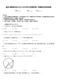 黑龙江省鹤岗市名校2023-2024学年九年级数学第一学期期末质量检测试题含答案