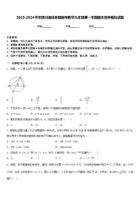 2023-2024学年四川省岳池县联考数学九年级第一学期期末统考模拟试题含答案